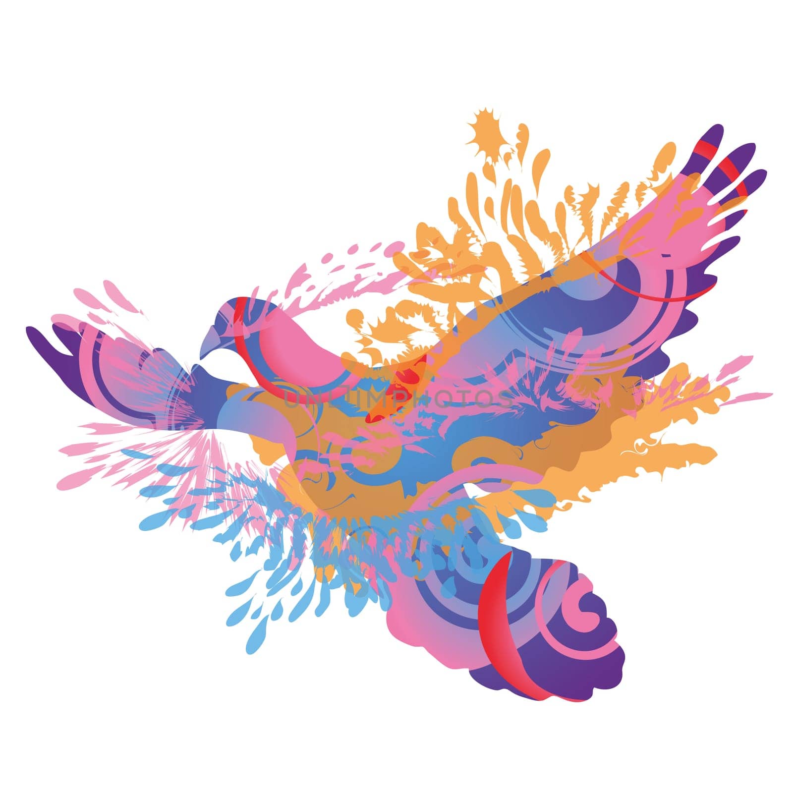 Shadow Blobs Dove