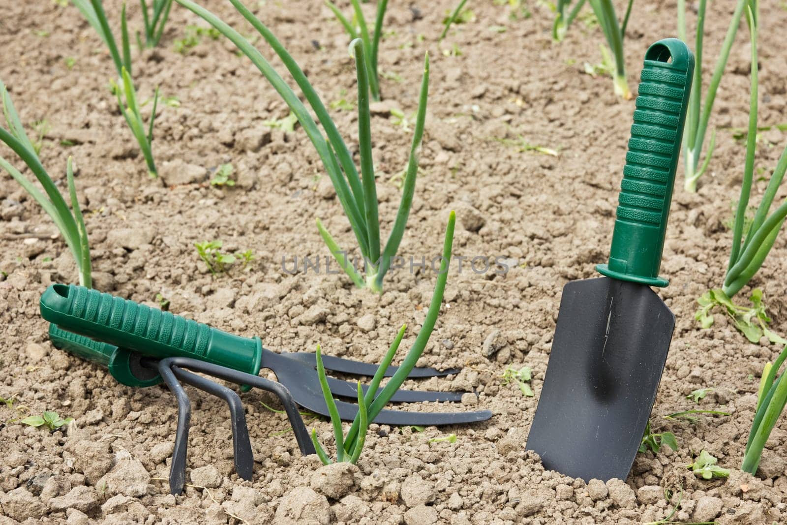 tools for gardening and working her soil