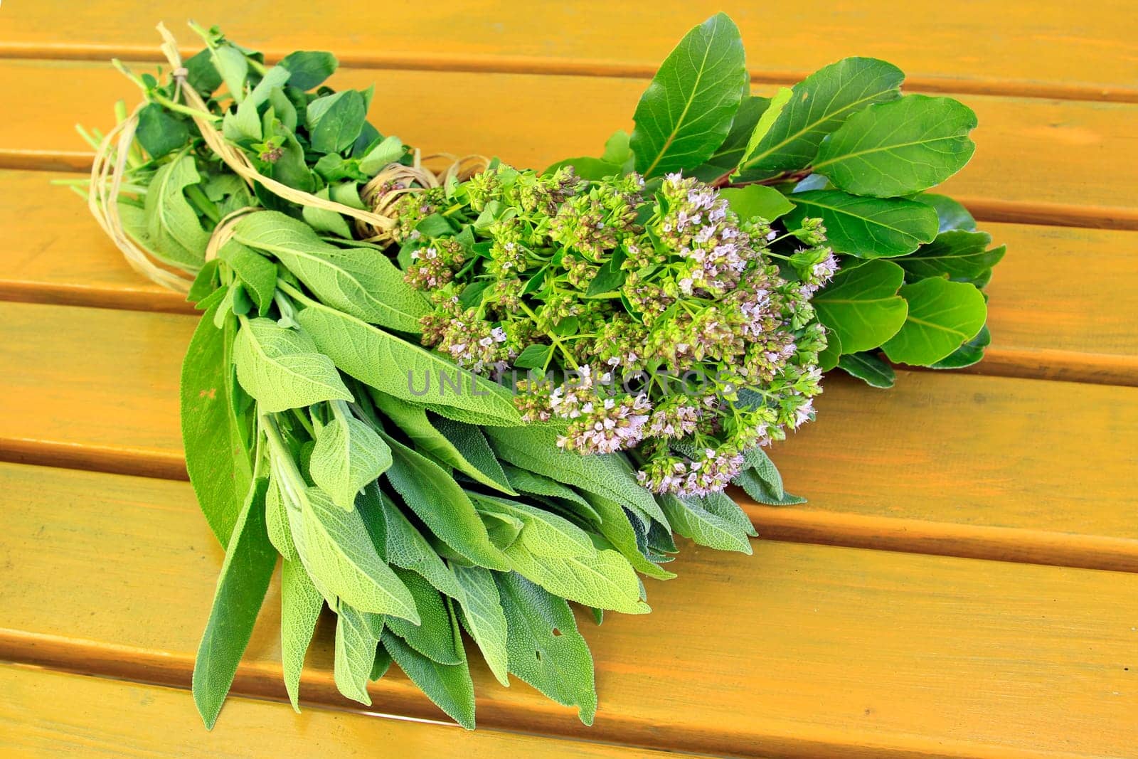 Bouquets of herbs with sage,oregano and bay leaf
