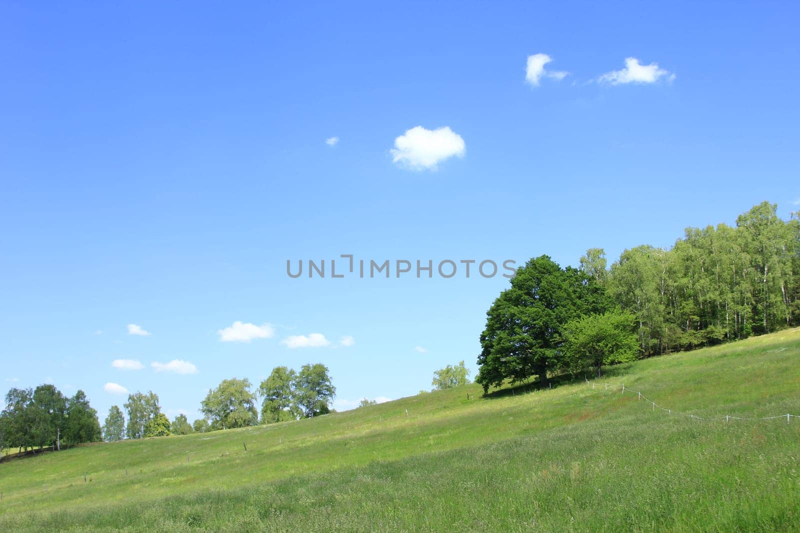 Natural landscape in Saxony,with blue sky,edge of forest and meadow