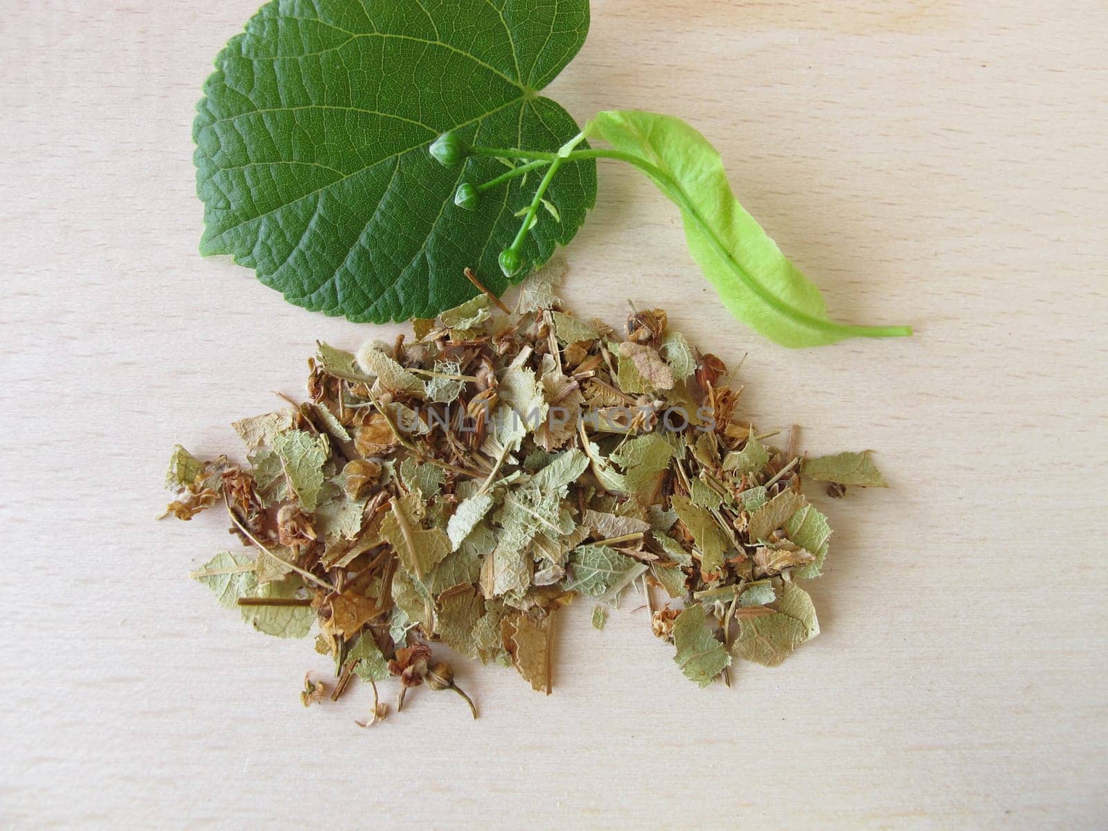 Lime blossoms,Tiliae flos