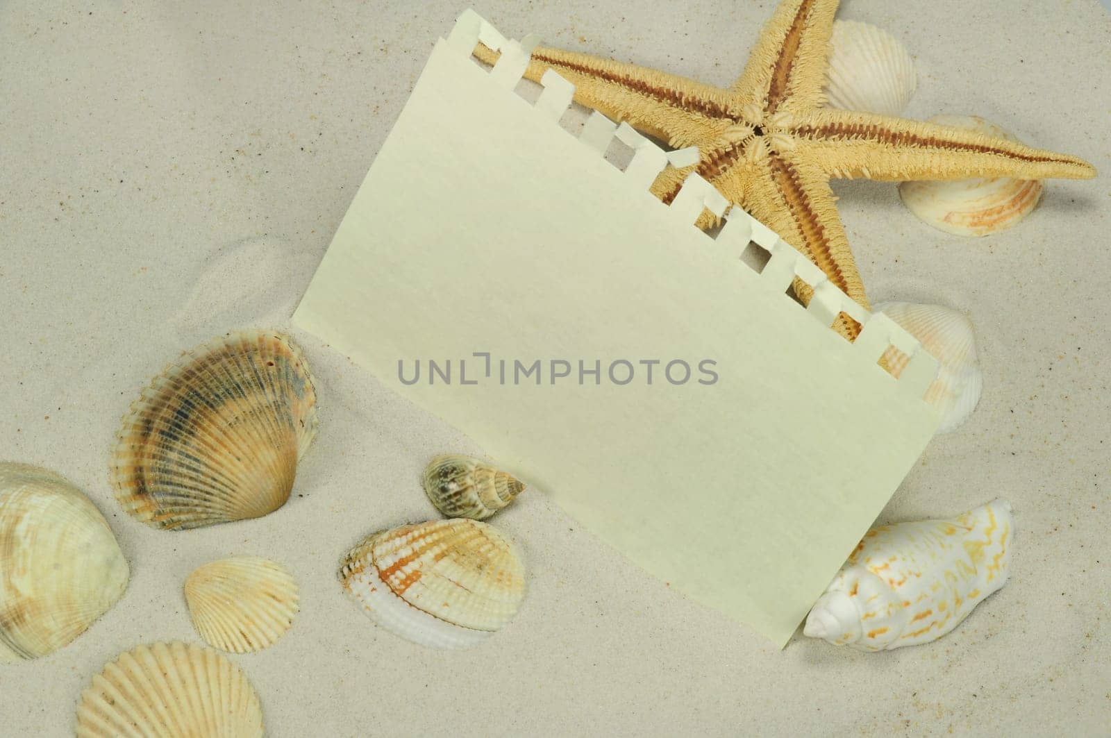 Notepad