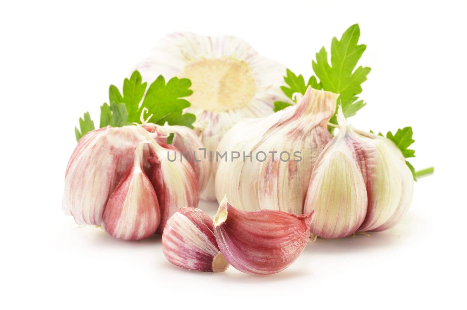 Fresh garlic with parsley isolated on white