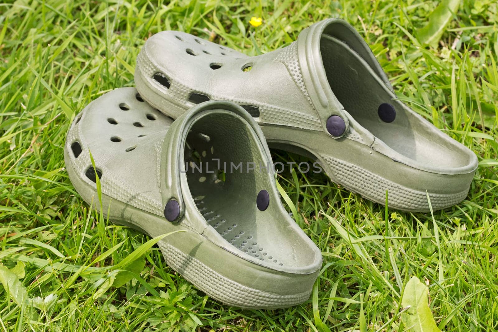 green rubber sandals on a green grass