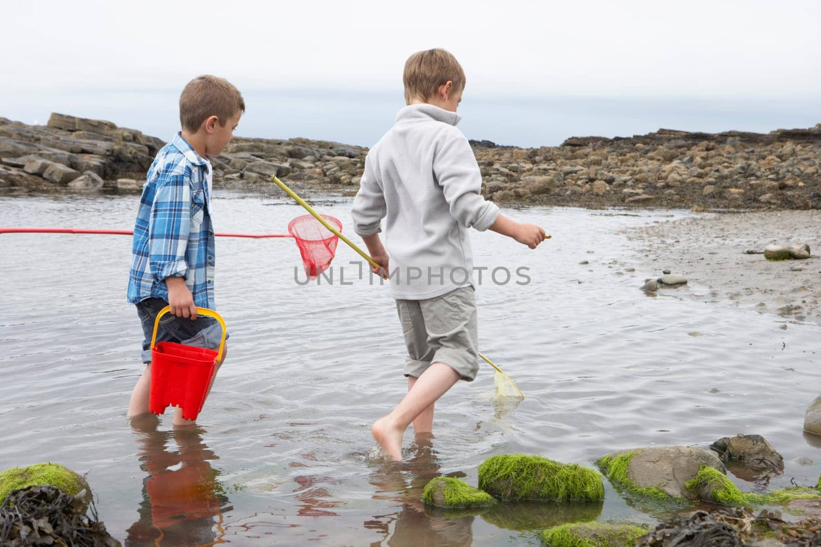 Two boys collecting shells on beach