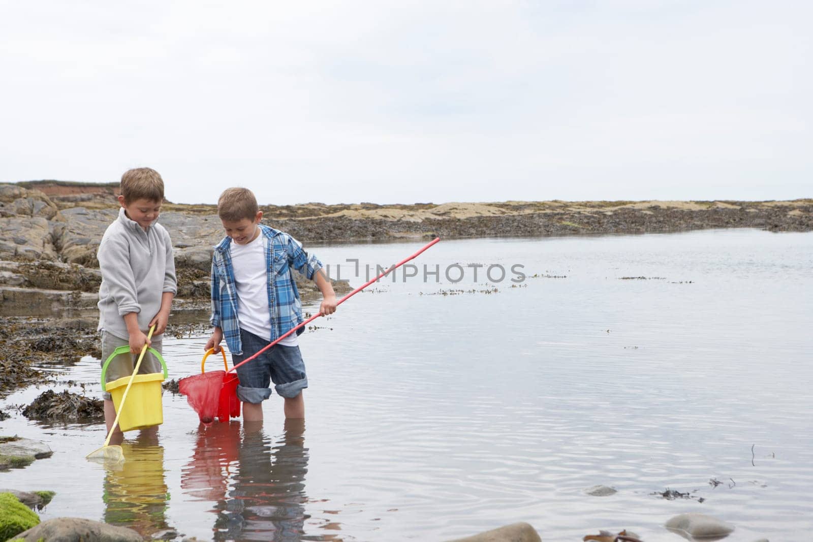 Two boys collecting shells on beach