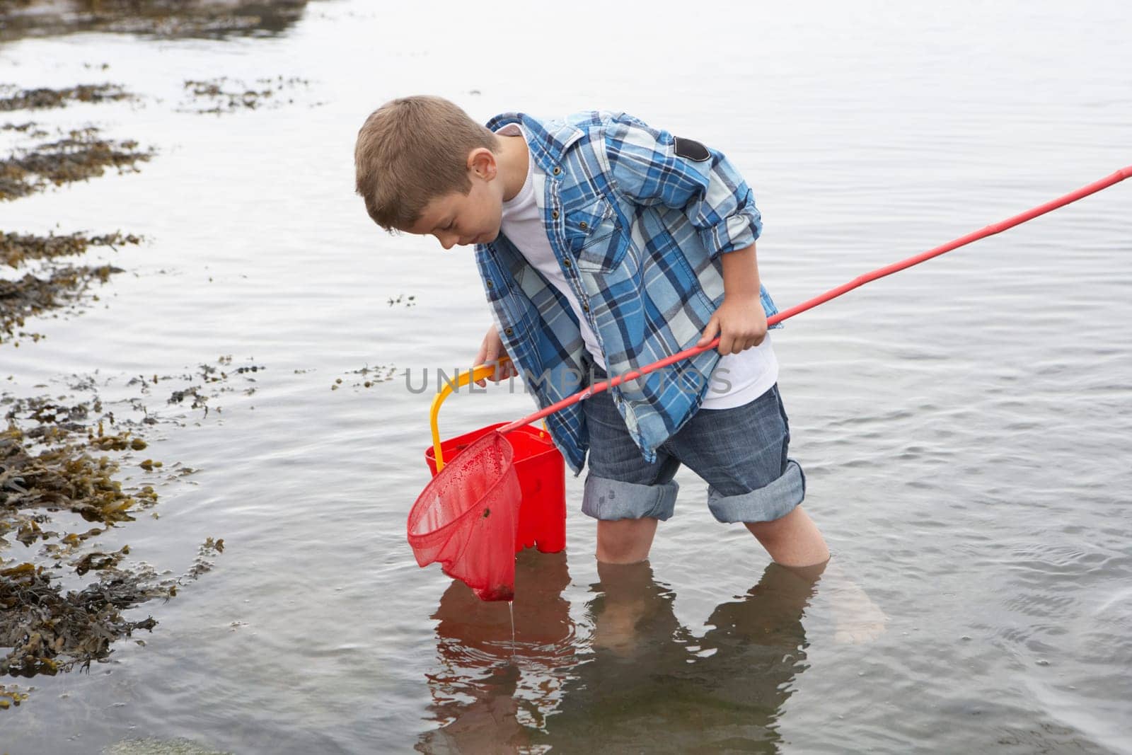 Boy collecting shells