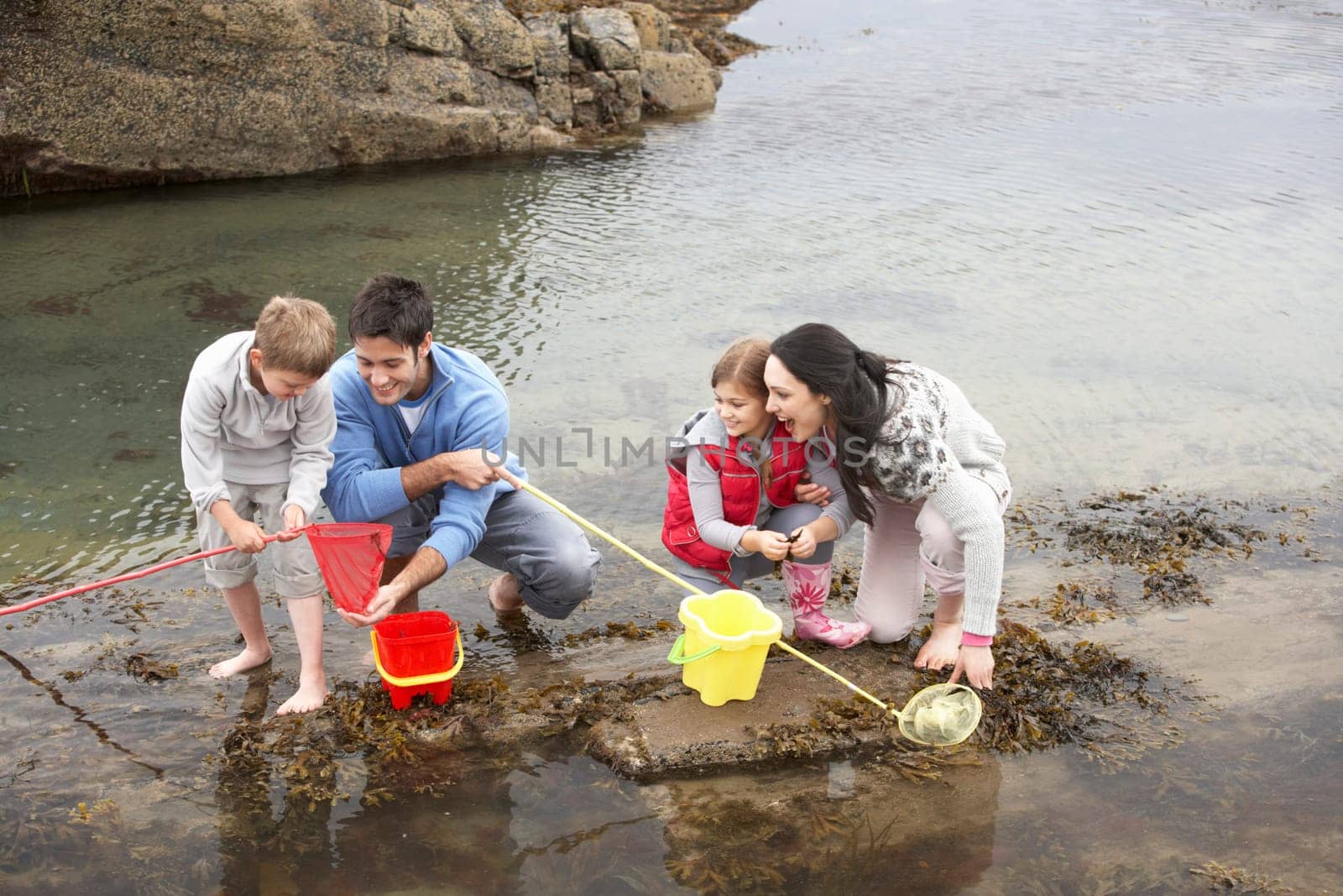 Young family at beach collecting shells