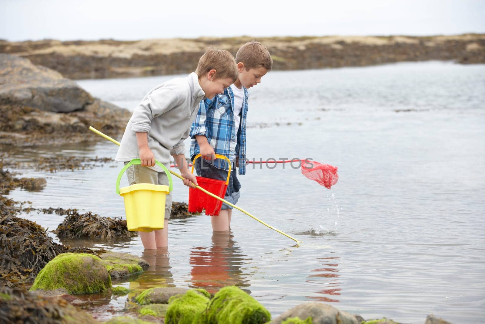 Two boys collecting shells on beach