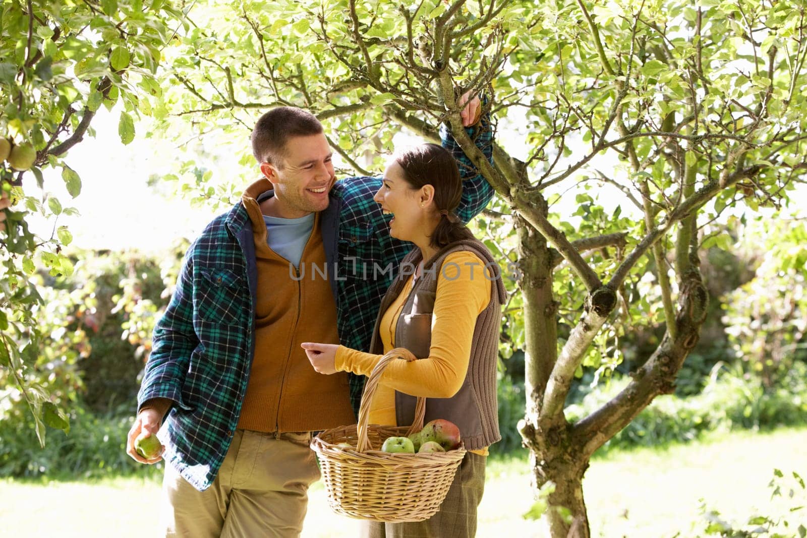 Couple picking apples in garden