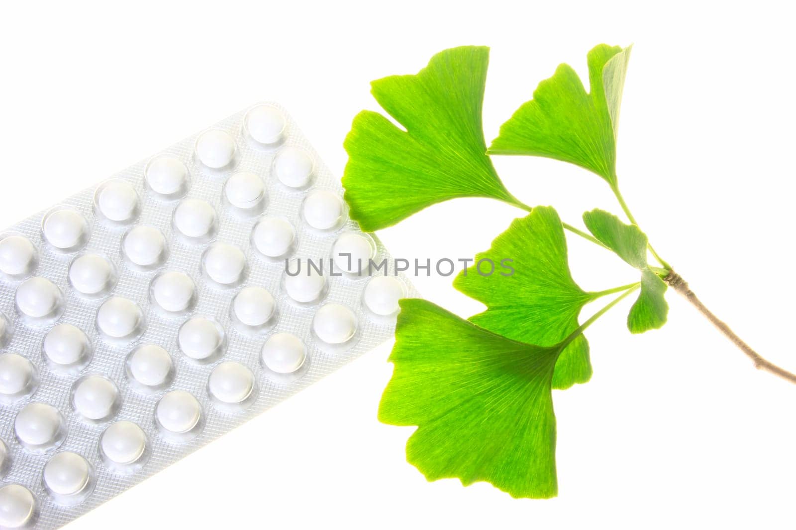 Leaves of the ginkgo tree and dragees to take (symbolic)