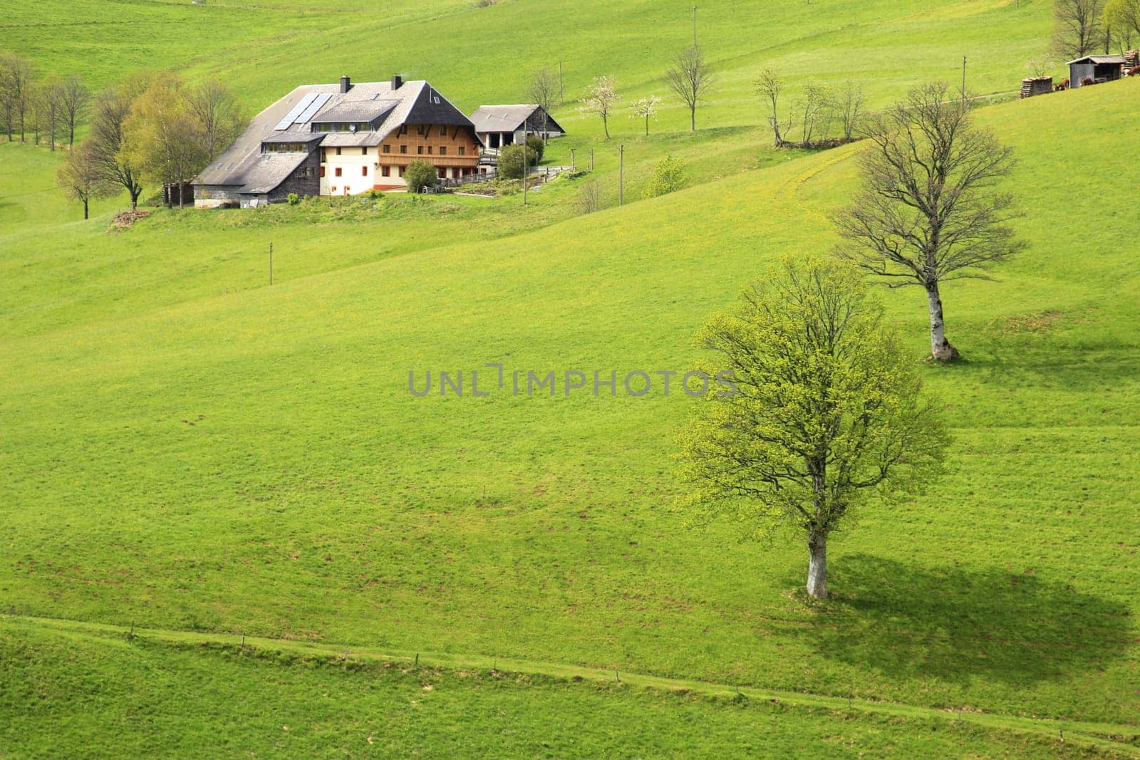 typical farm in the Black Forest,Baden-Württemberg,Germany