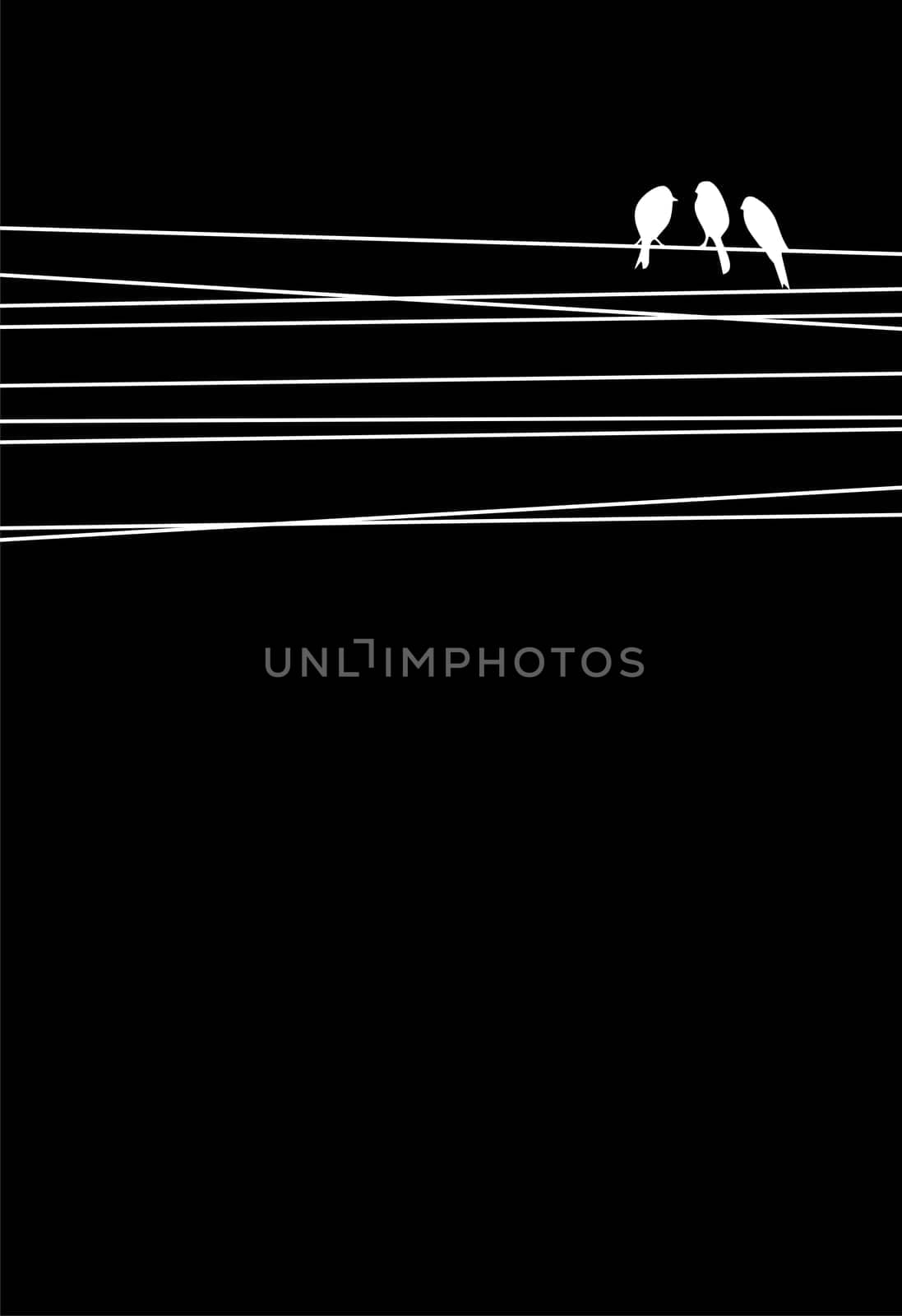 High contrast cables and birds background. Vector file available.