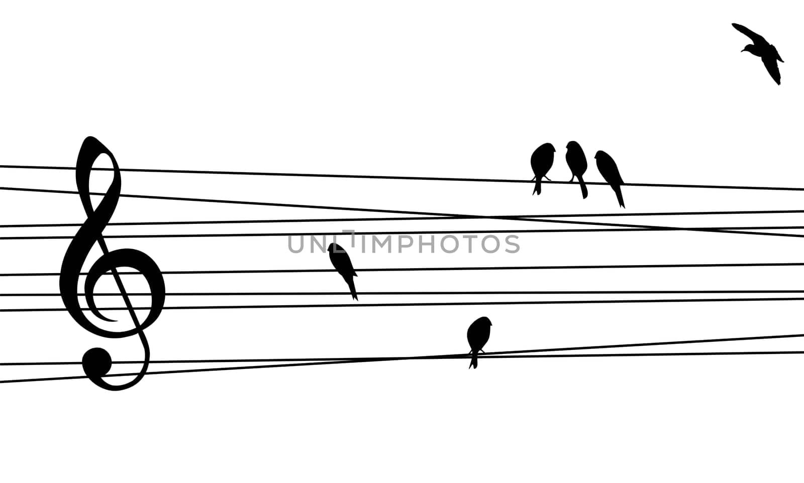 Love for music concept illustration. High contrast musical pentagram and birds background. Vector file available.