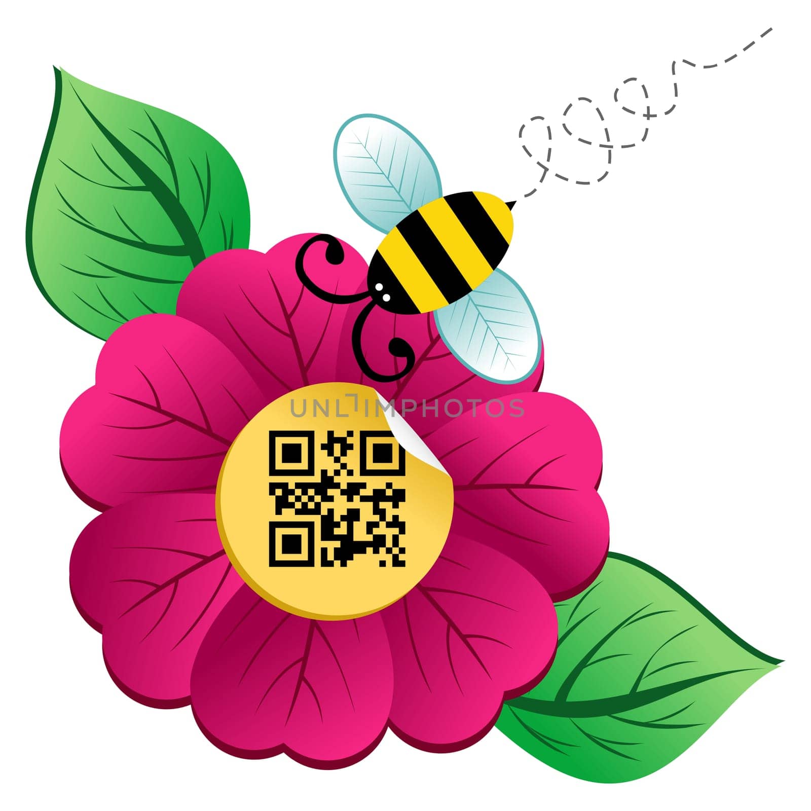 Spring time concept: bee on the spring flower with qr code label isolated over white background.