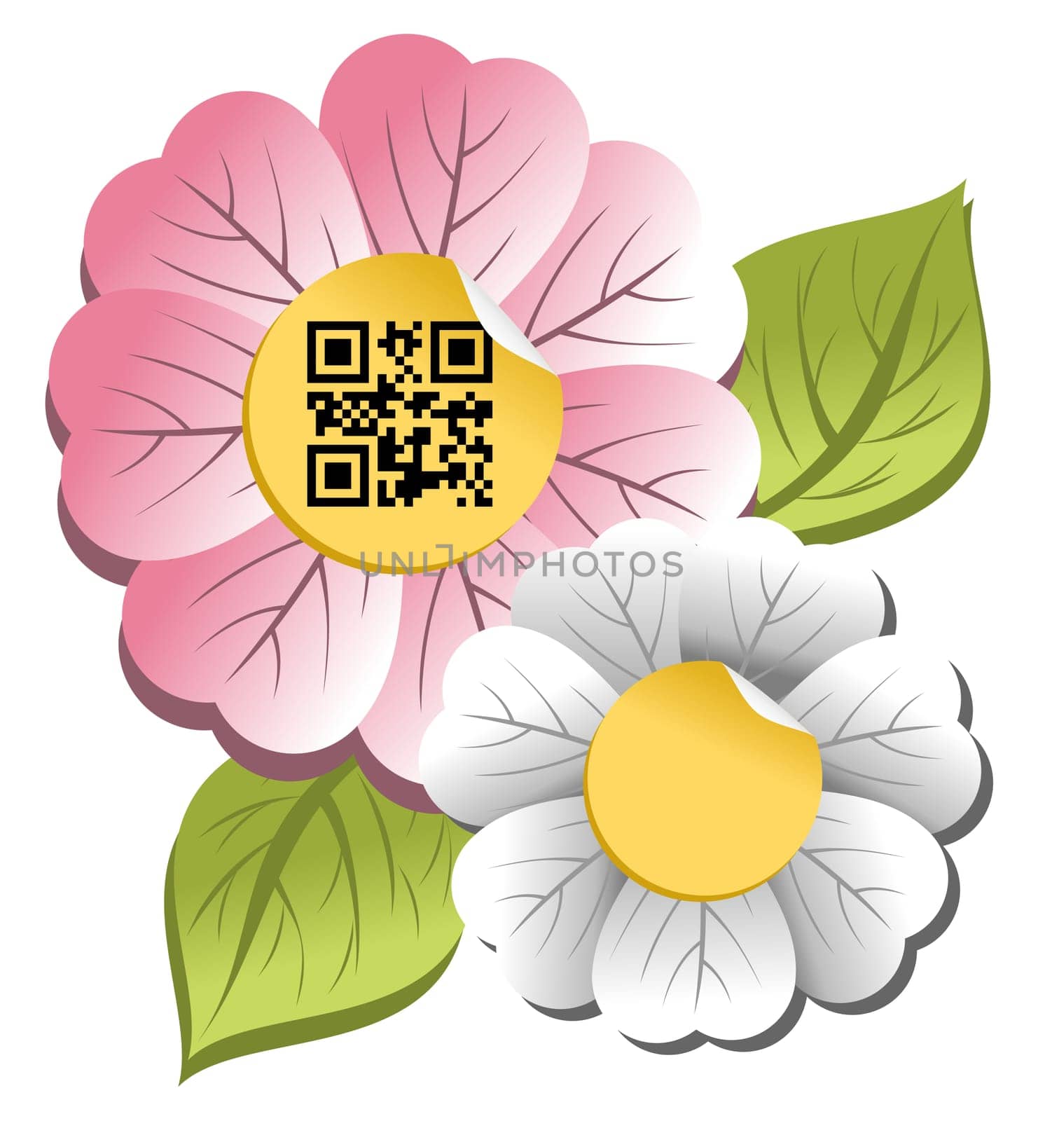 Spring concept: colorful flower with qr code label isolated over white background.
