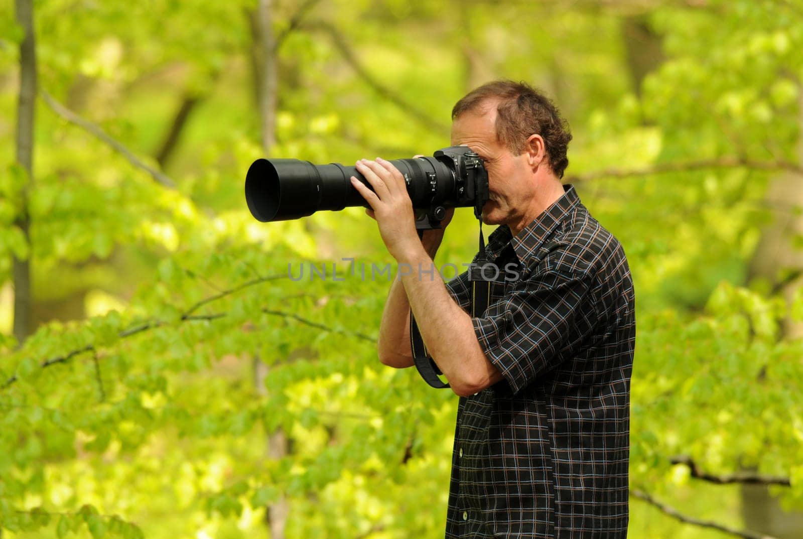 Photographer in the Beech Forest