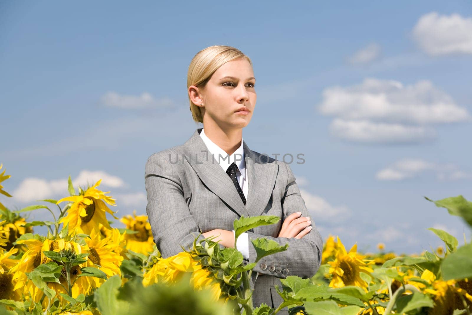 Portrait of serious business lady with folded arms in sunflower field