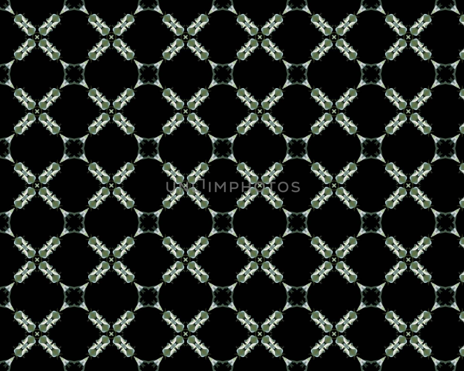 the vintage shabby background with classy patterns
