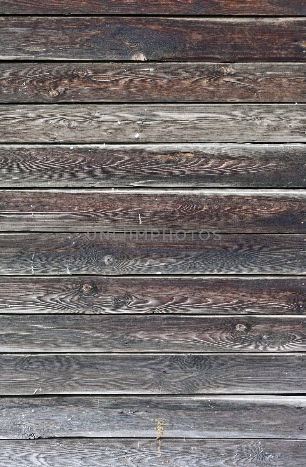 the brown wood texture with natural patterns