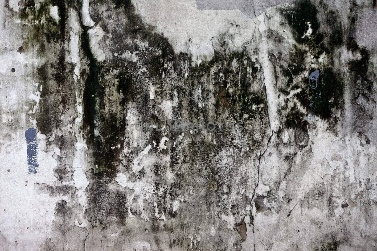 The Grunge cracked concrete wall for design
