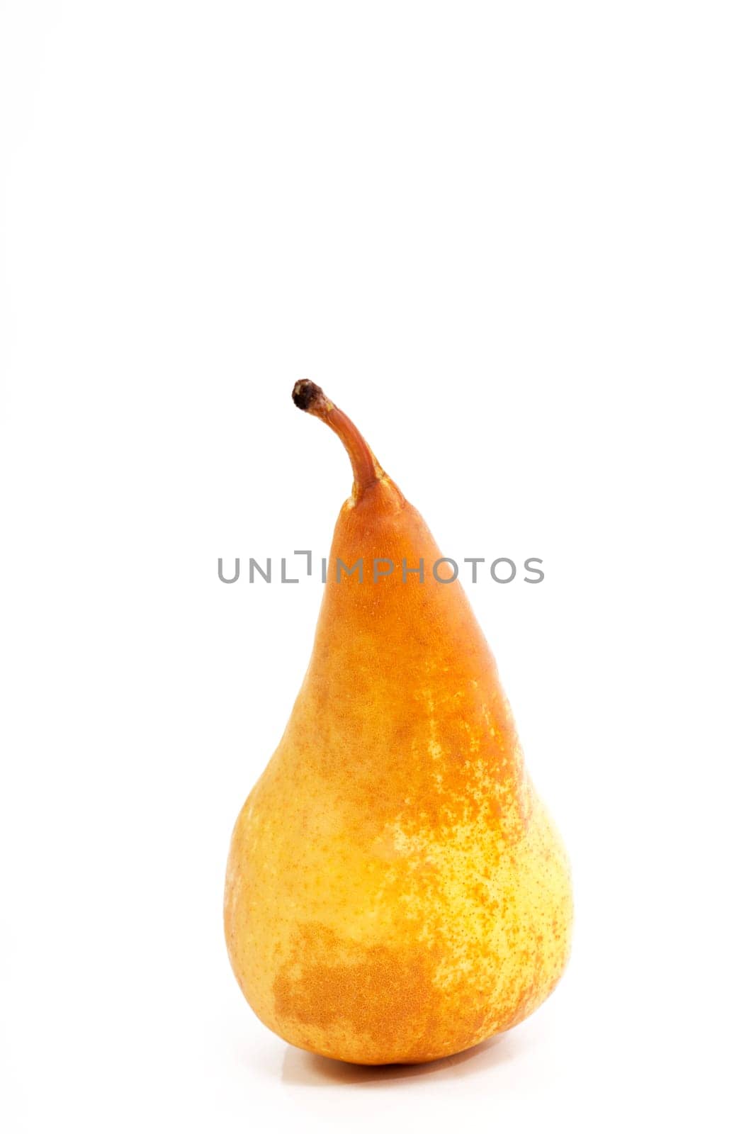 Fruit