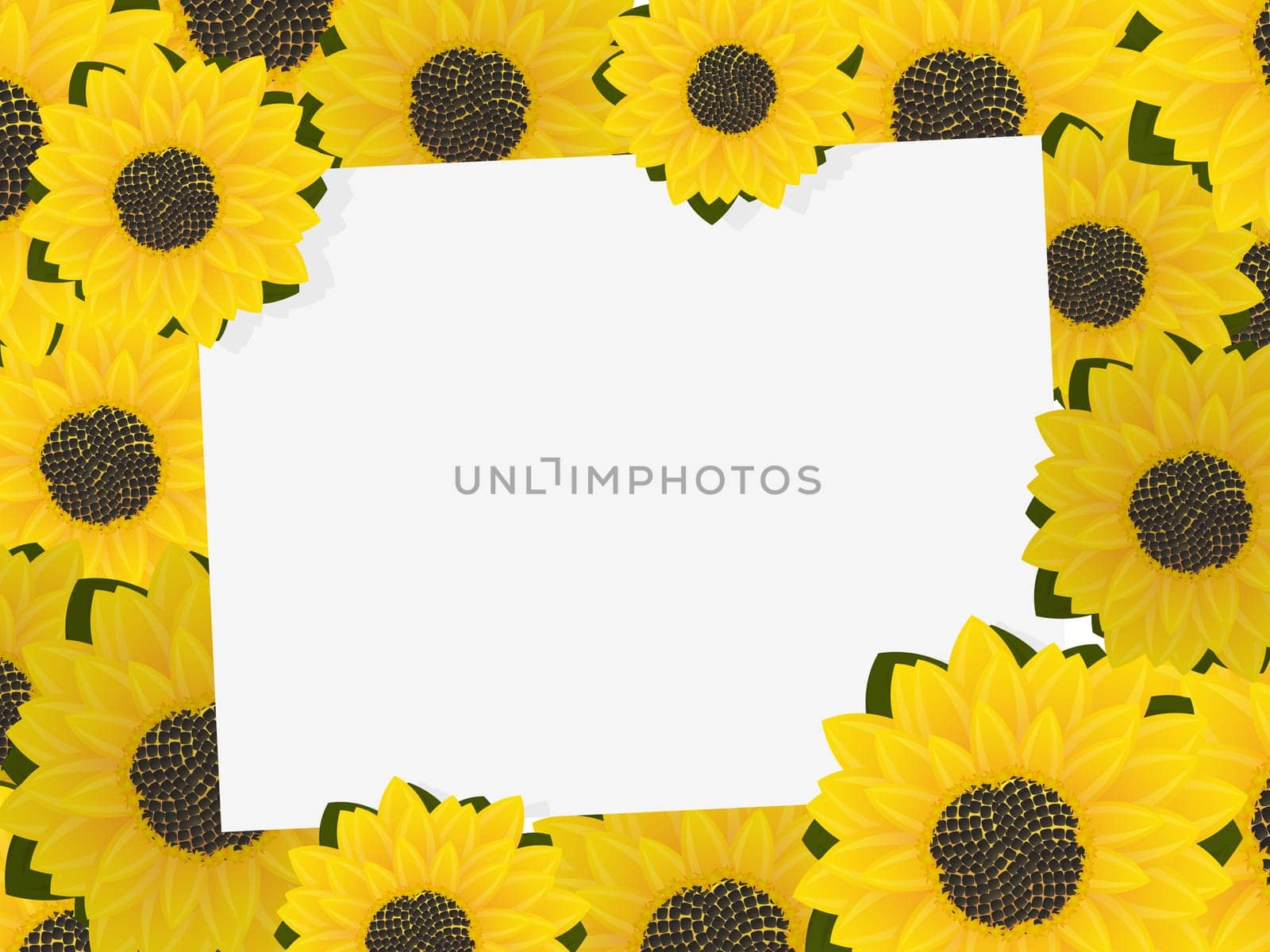 Text/ photography card with sunflower frame, graphic art