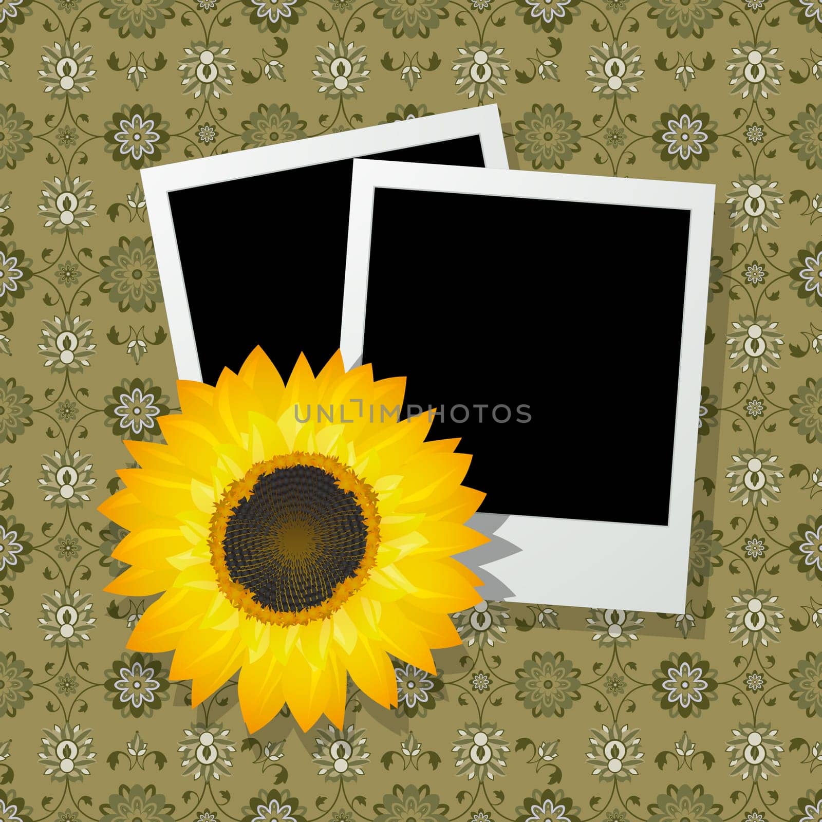 Two blank photo frames with a sunflower , abstract art