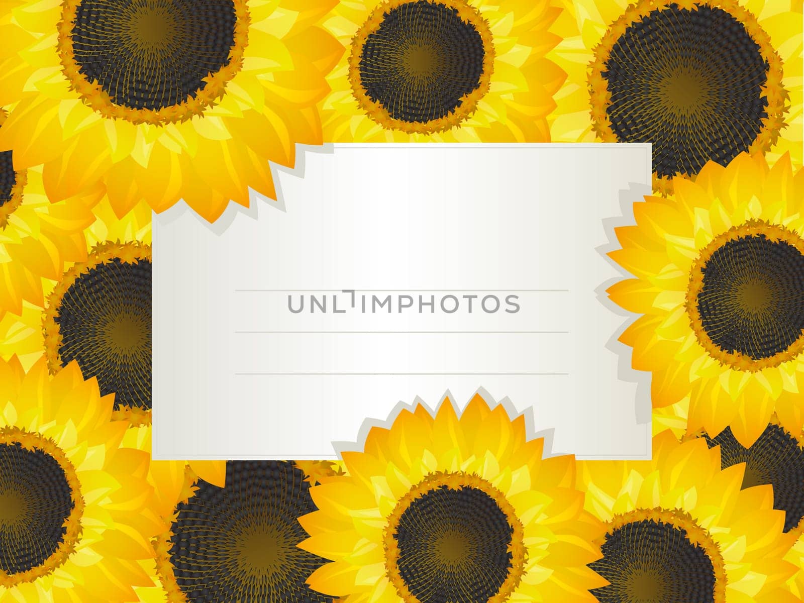 Illustration of a empty invitation card over a sunflower bed