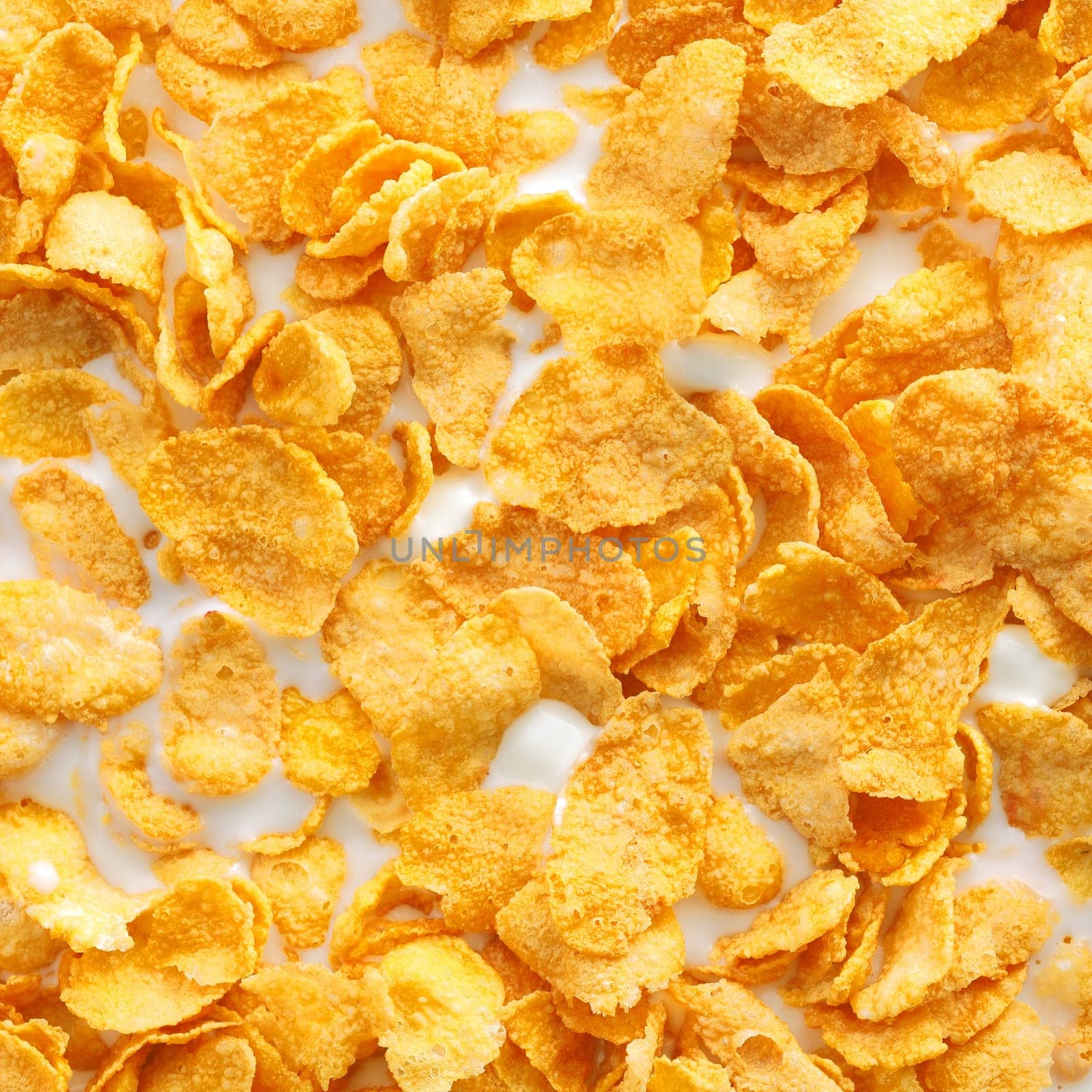 Full frame closeup of Corn flakes with milk