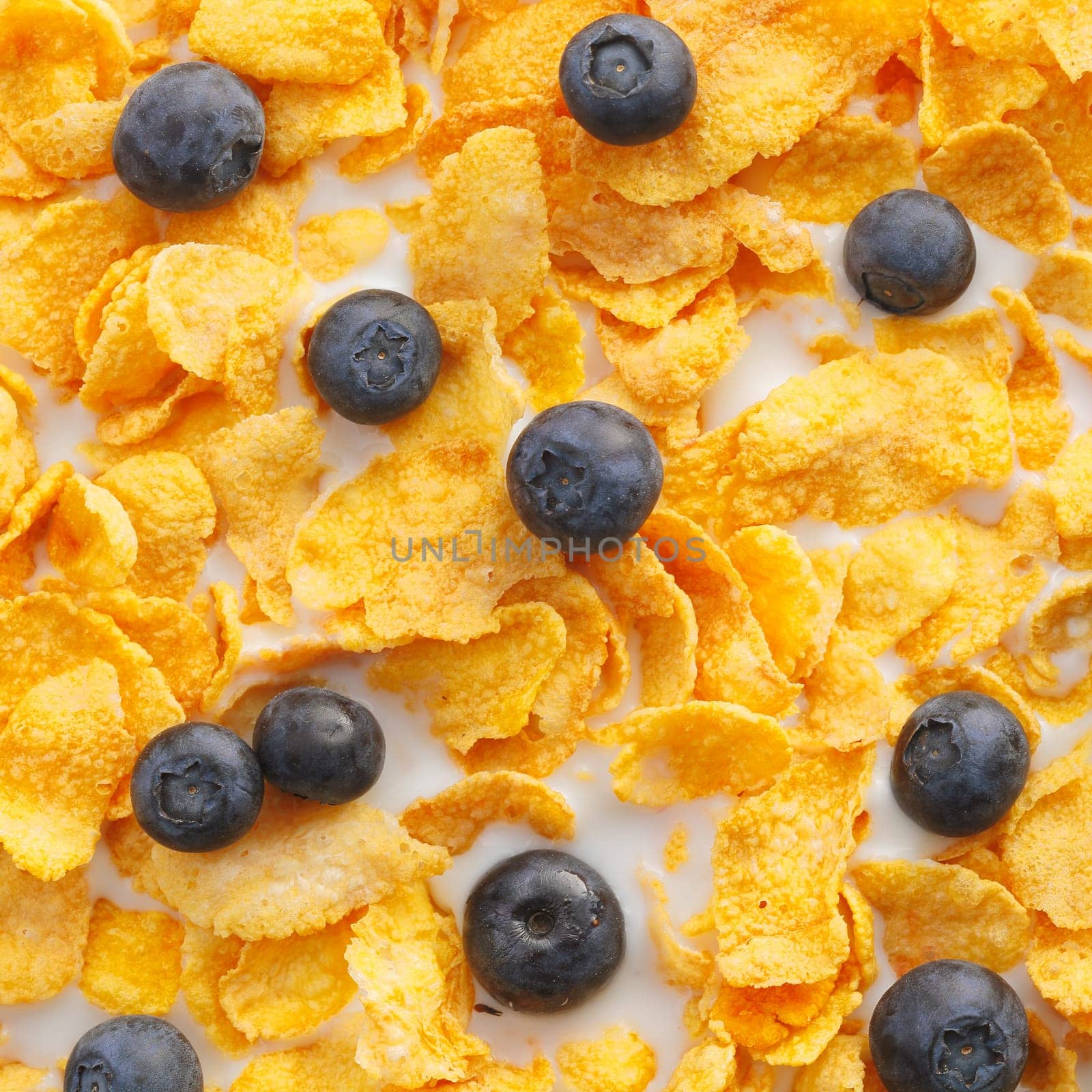 Close up of Black Currents and breakfast cereal floating in milk.