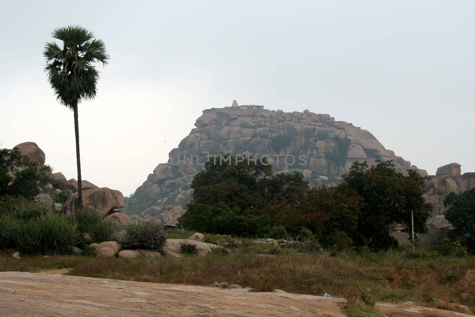 View of trees and rocky hill with temple atop at Hampi, Karnataka, India, Asia