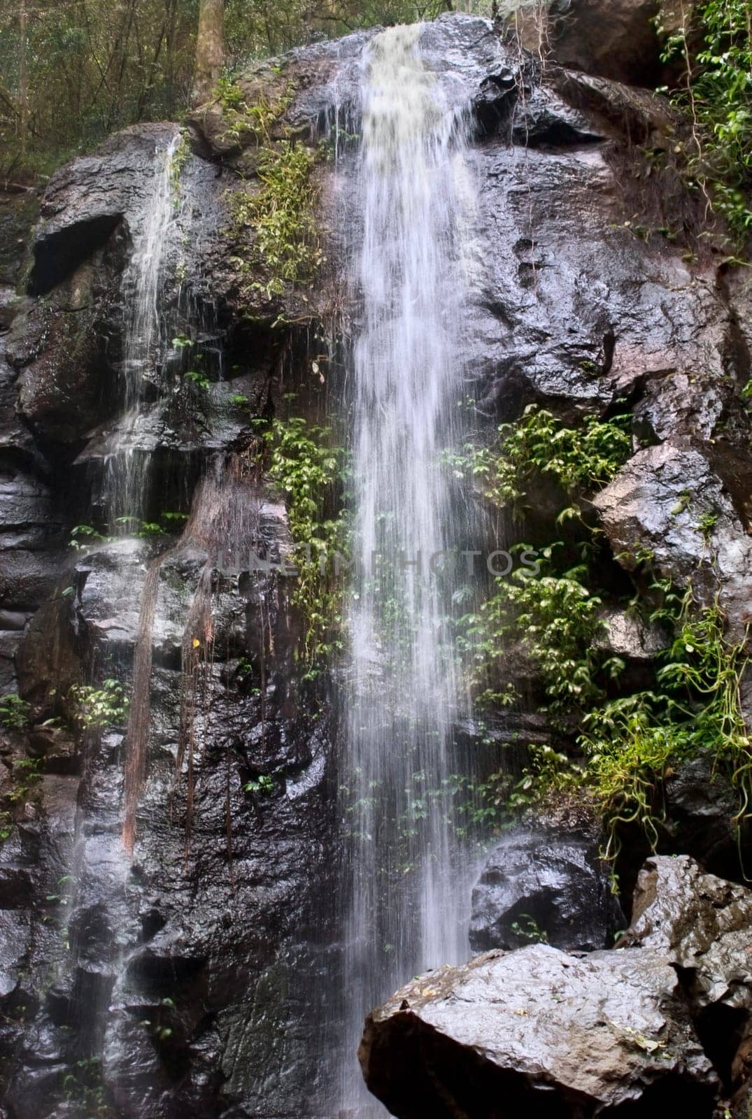 flowing waterfalls Bunya mountains Queensland Australia travel destination