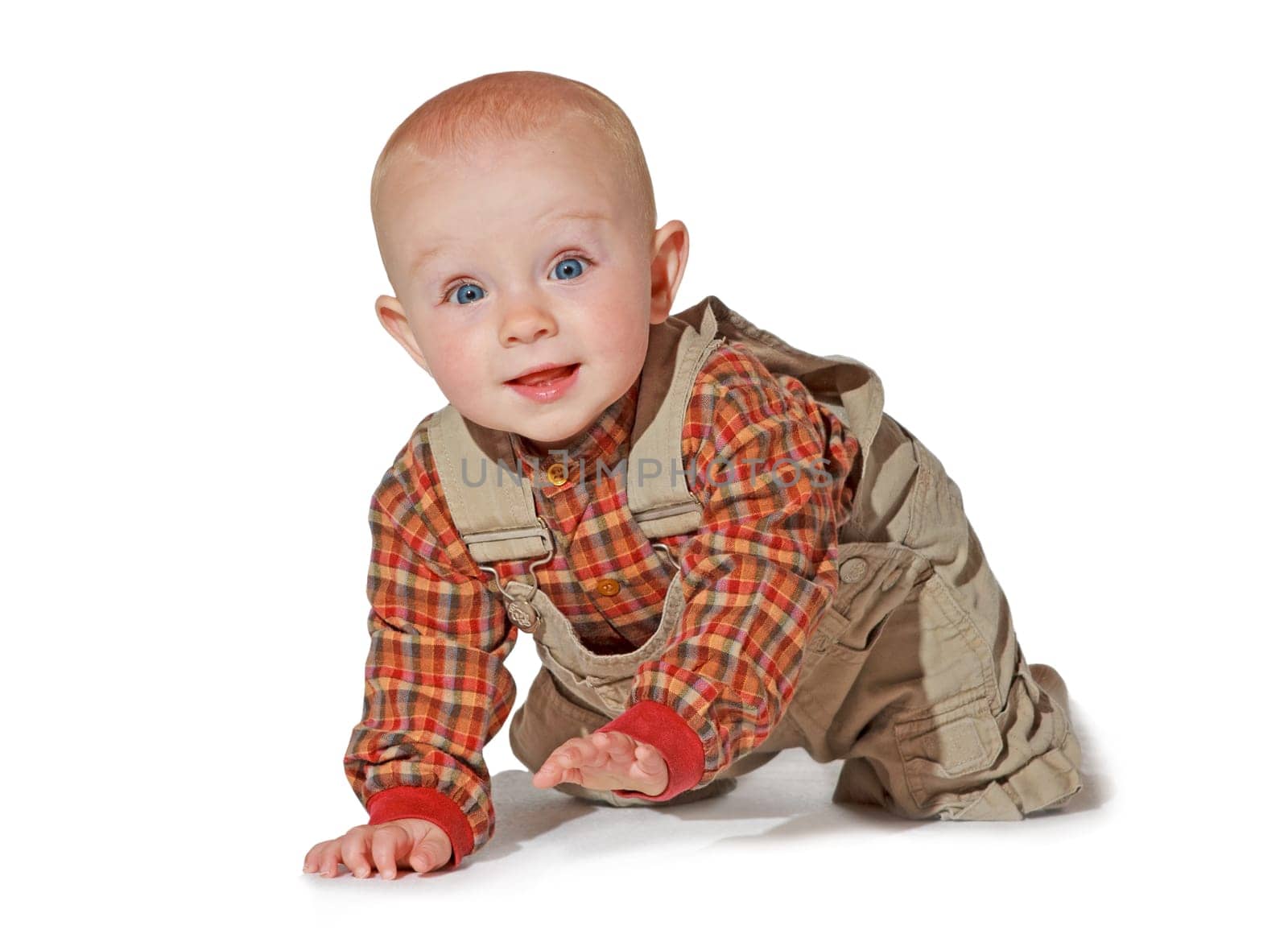 Cute alert baby crawling towards the camera dressed in a checked shirt and dungarees as it explores the surroundings