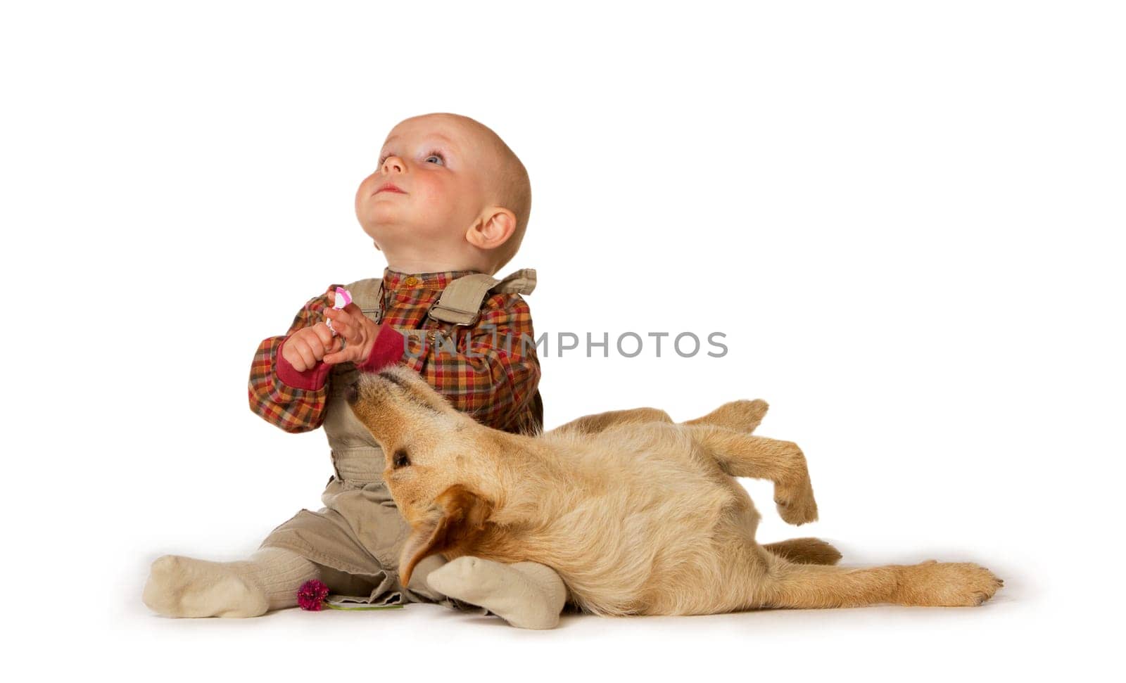 Young nine month old baby playing on the floor with a dog which has its head on its lap as a sign of trust and affection