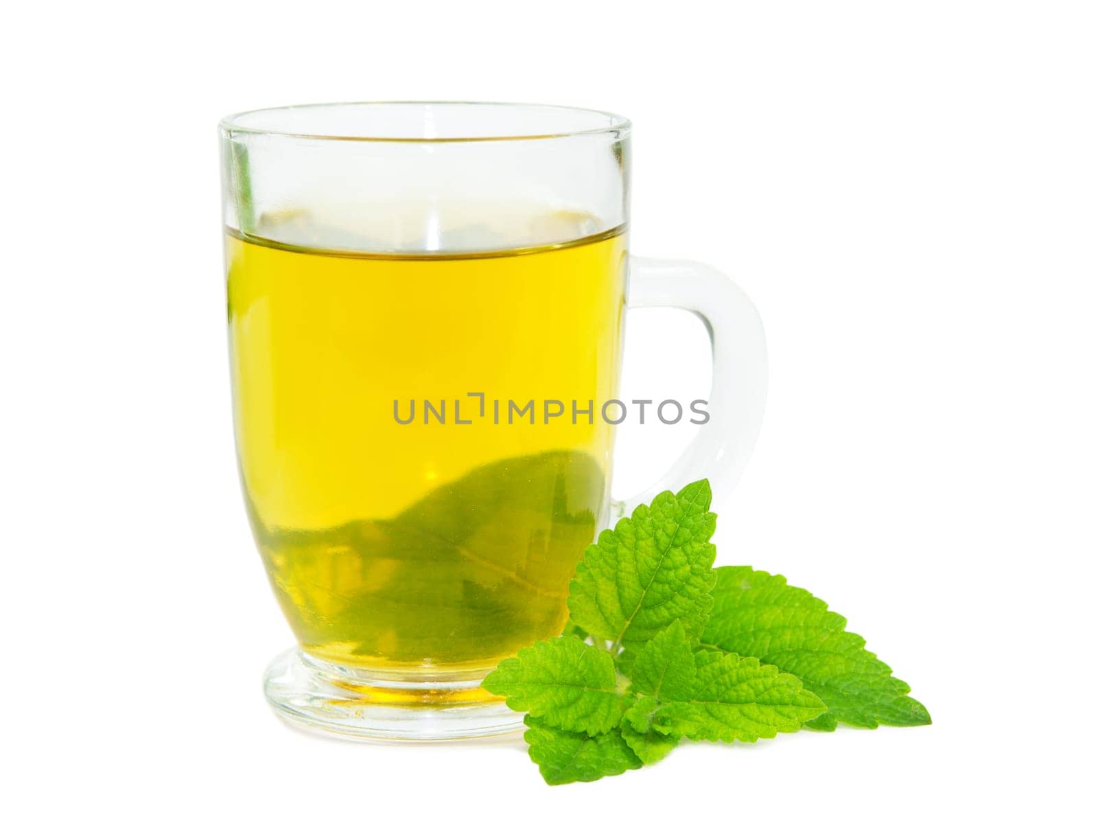 Glass of herbal lemon balm tisane or tea with fresh green leaves on a white studio bacground