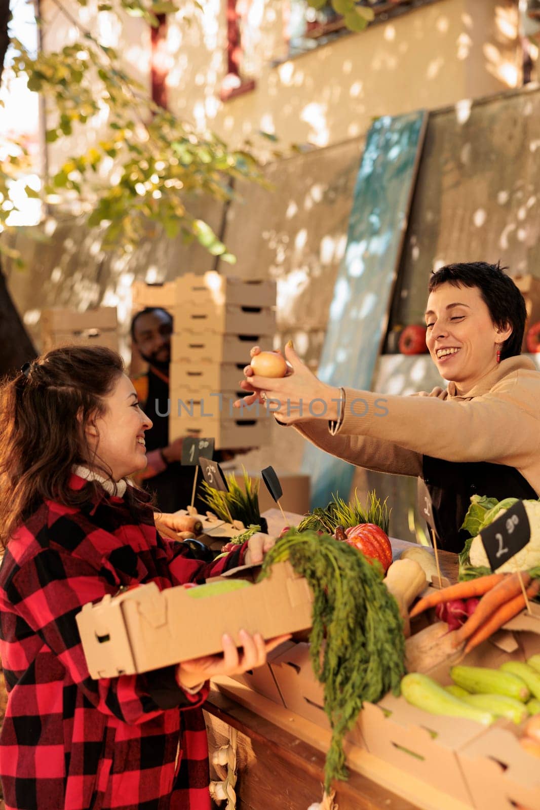 Female client buying organic bio vegetables at local farmers market by DCStudio