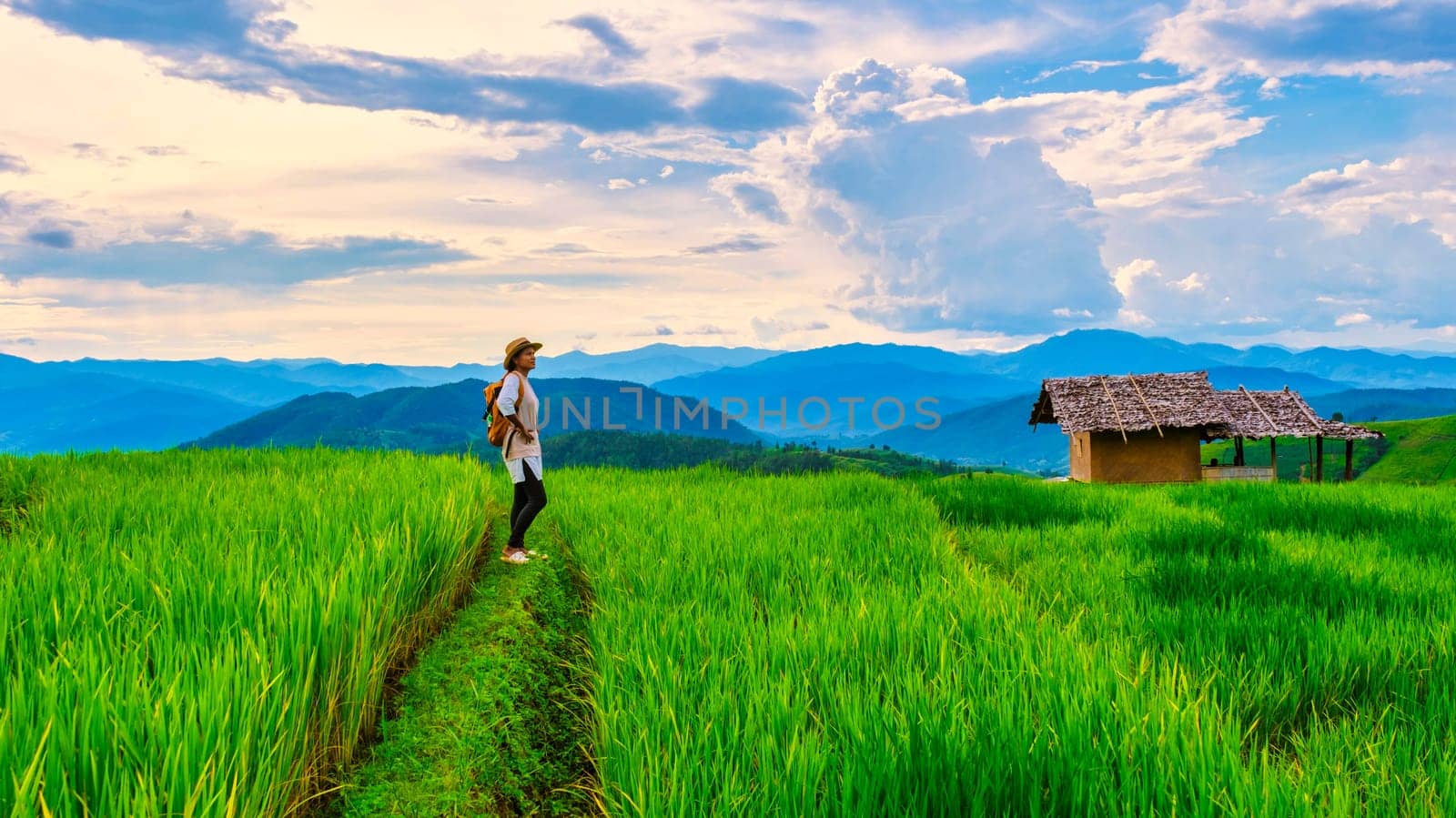 Terraced Rice Field in Chiangmai, Thailand, Asian woman walking hiking in the mountains at sunset by fokkebok