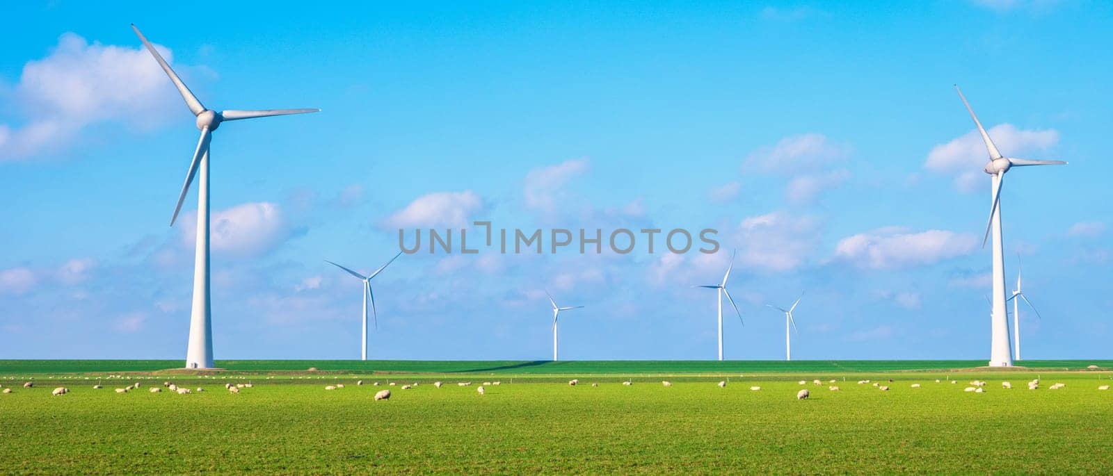 Windmill park on land, energy transition windmill turbines generating green energy, windmills isolated at sea in the Netherlands.