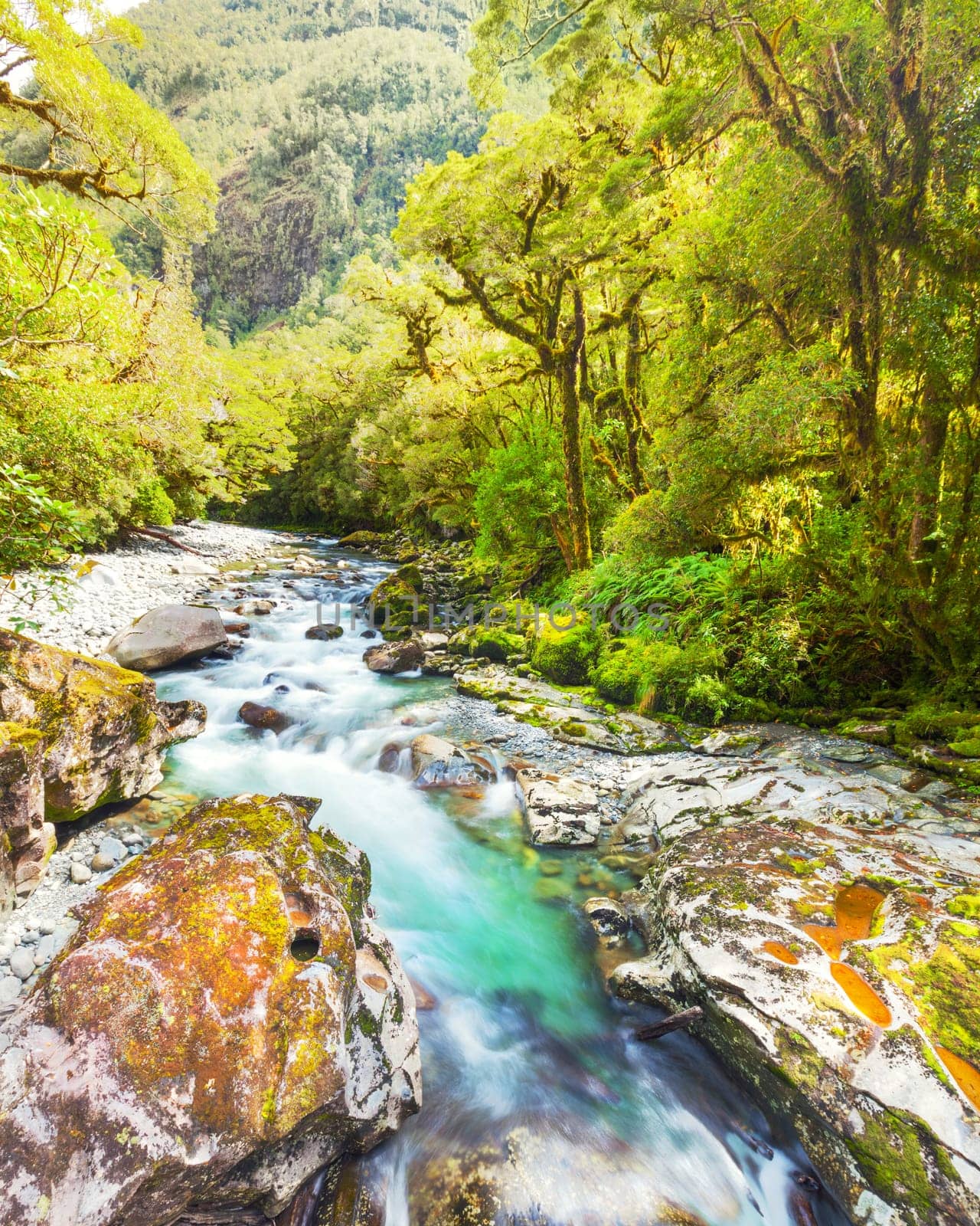 The Chasm (Fiordland, South Island, New Zealand)