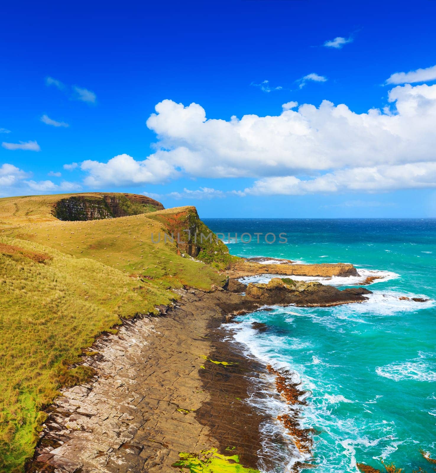 Coastal view at day time