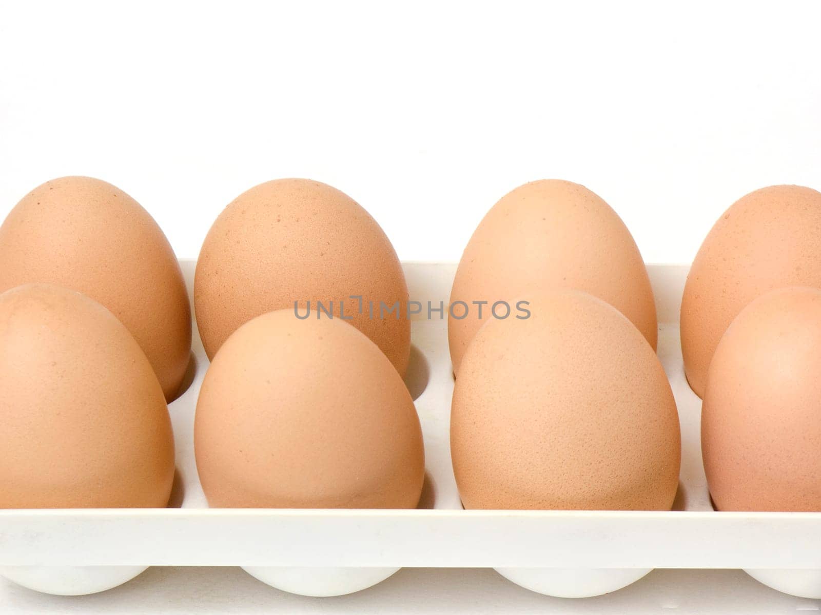 Eight eggs in a white egg holder isolated on white background