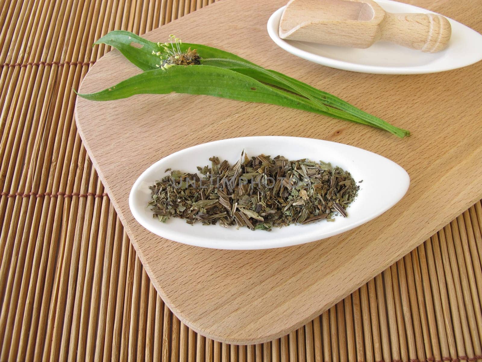 Plantaginis lanceolatae herba