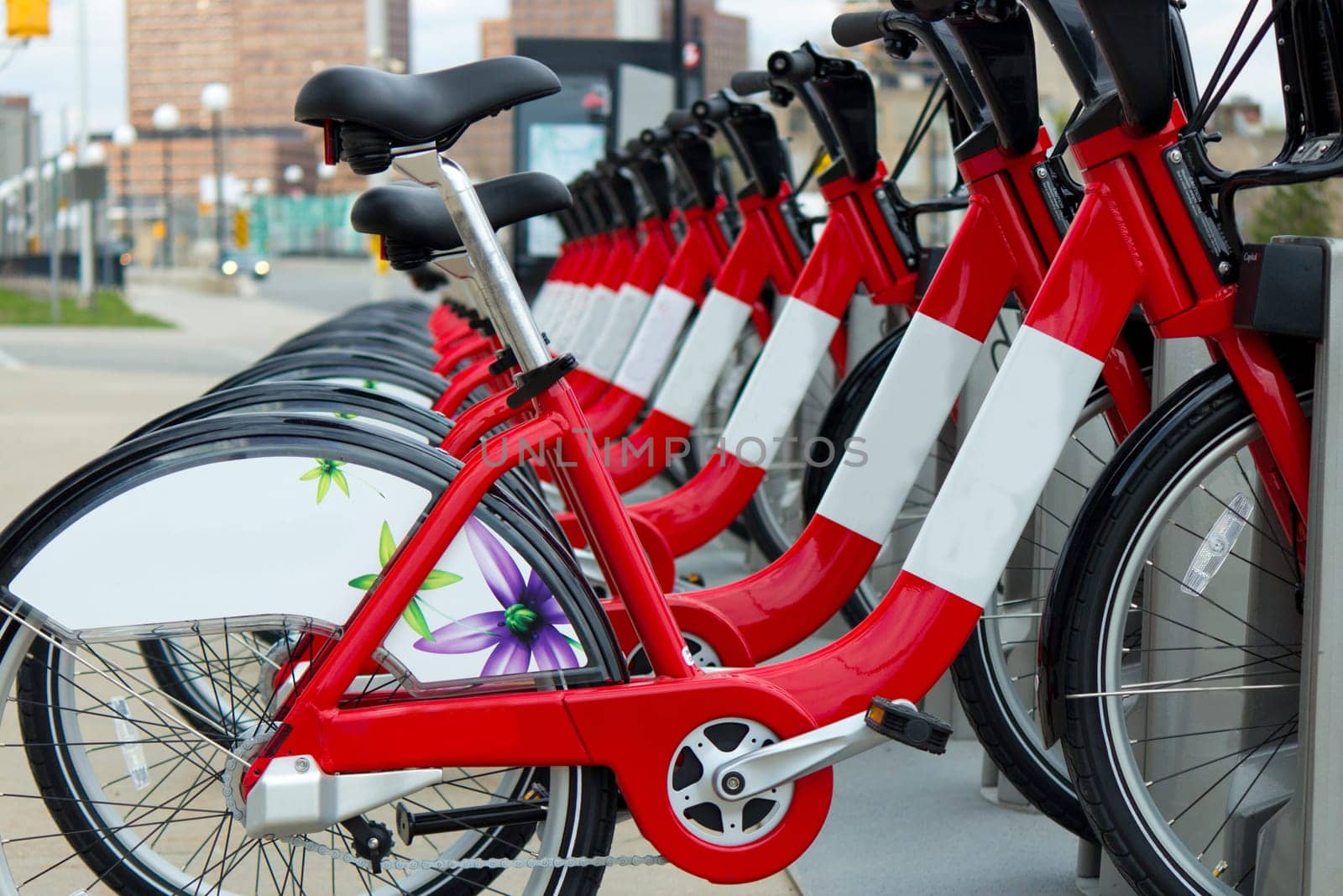 A row of bicycles from the Bixi bike rental program in Ottawa, Canada.
