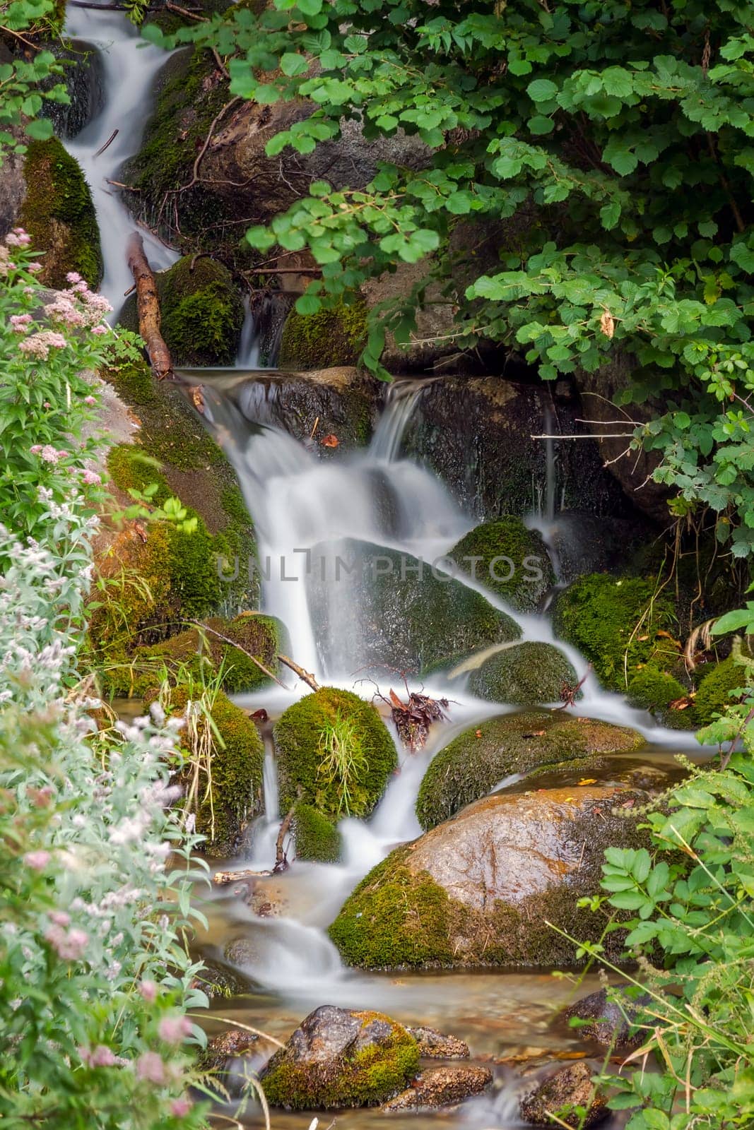 Aigüestortes National Park in the Vall de Boi, Spain. Two thousand feet the water is present