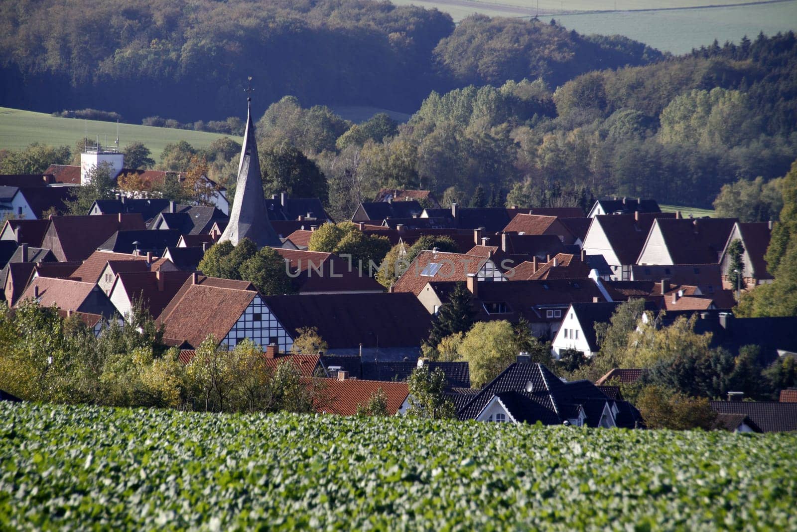 View of Alverdissen