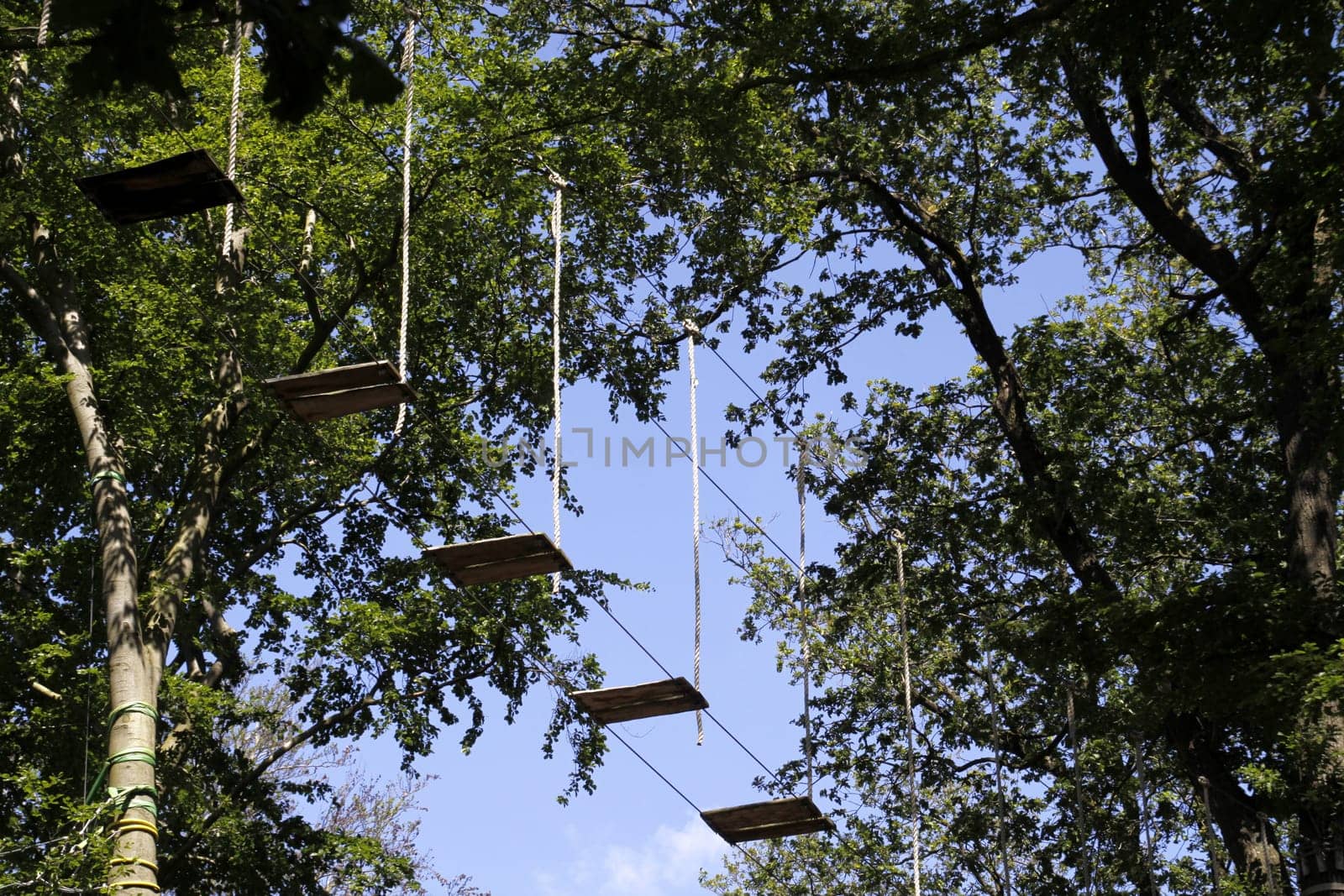 Climbing forest on the Klüt (Hameln)