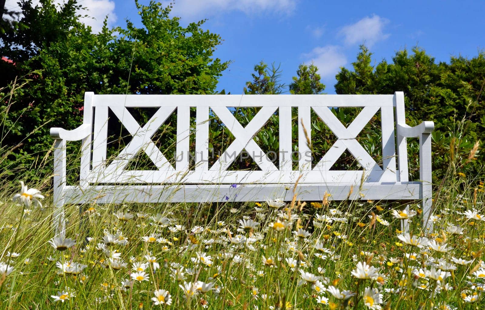 White garden bench on a flower meadow