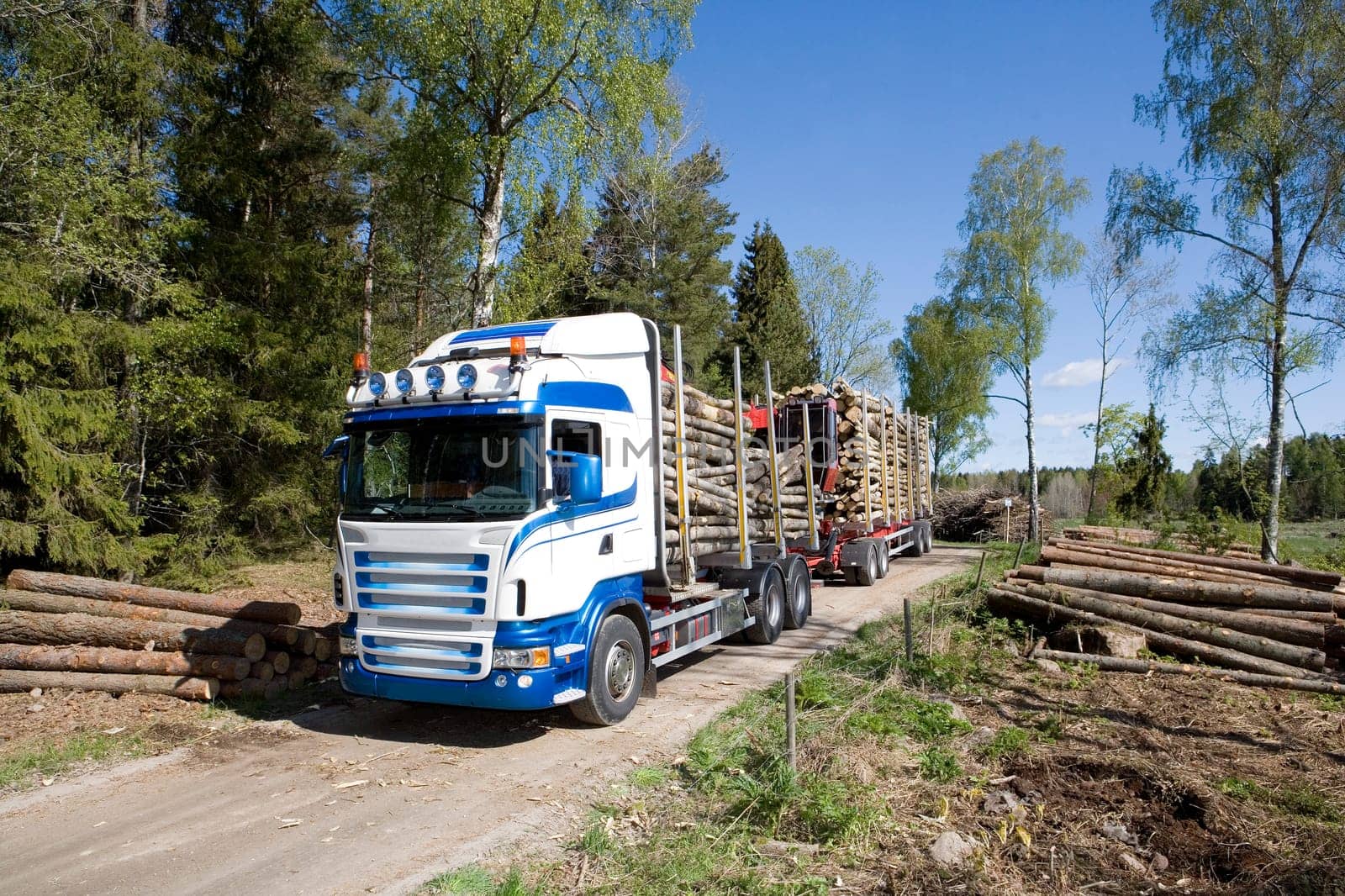 Truck with timber in the forest