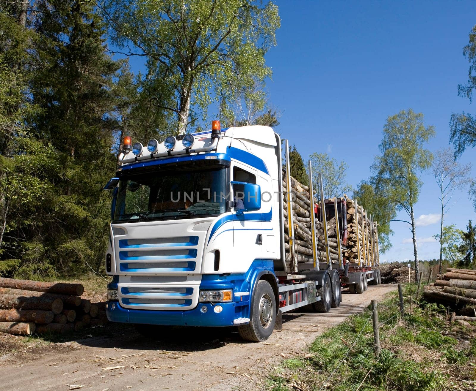 Truck with timber in the forest